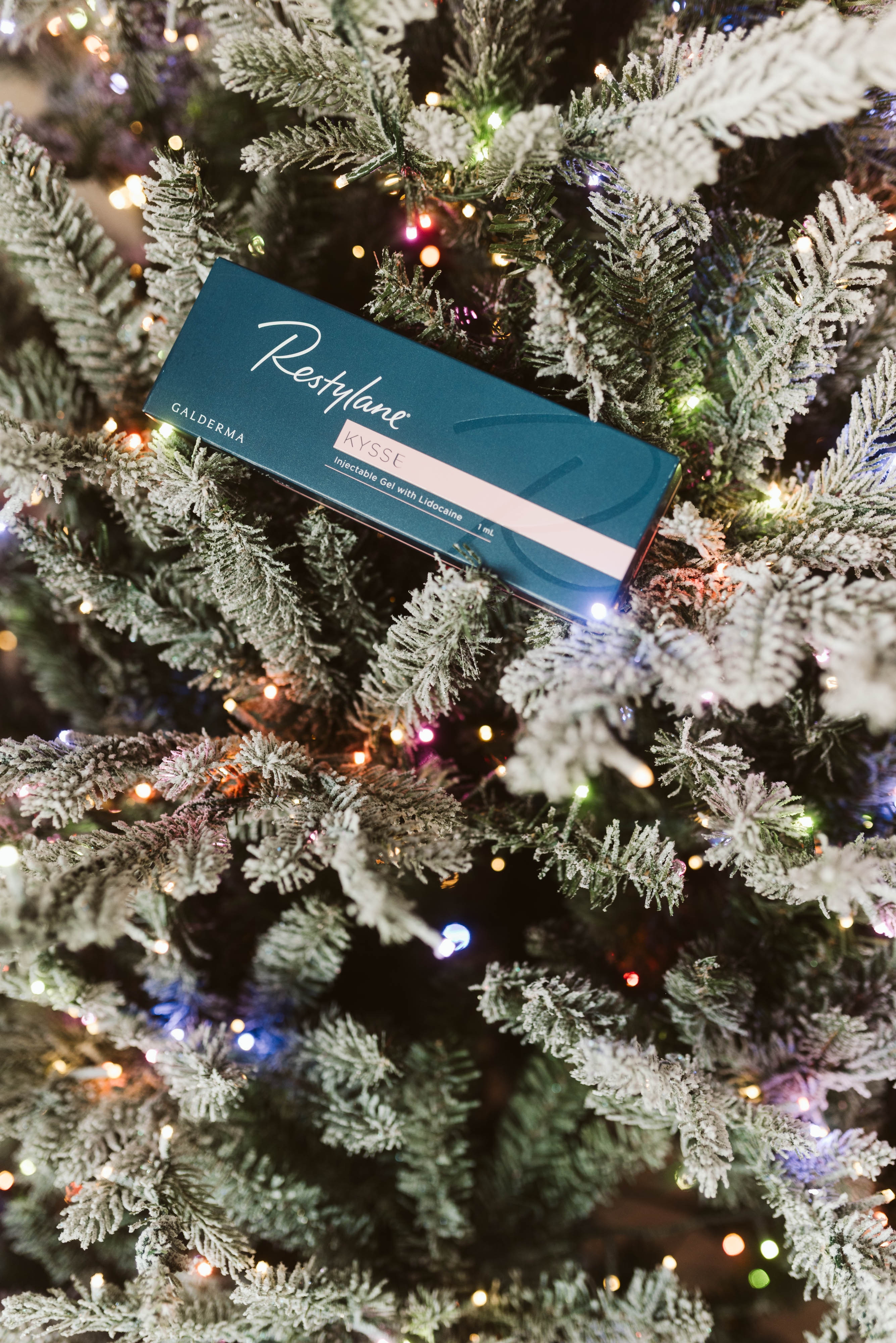 The Cheek-to-Chic Bundle